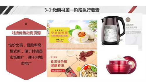 電商社交新模式助力農(nóng)產(chǎn)品上行——野農(nóng)優(yōu)品創(chuàng)始人勾英達談配送服務(wù)創(chuàng)新